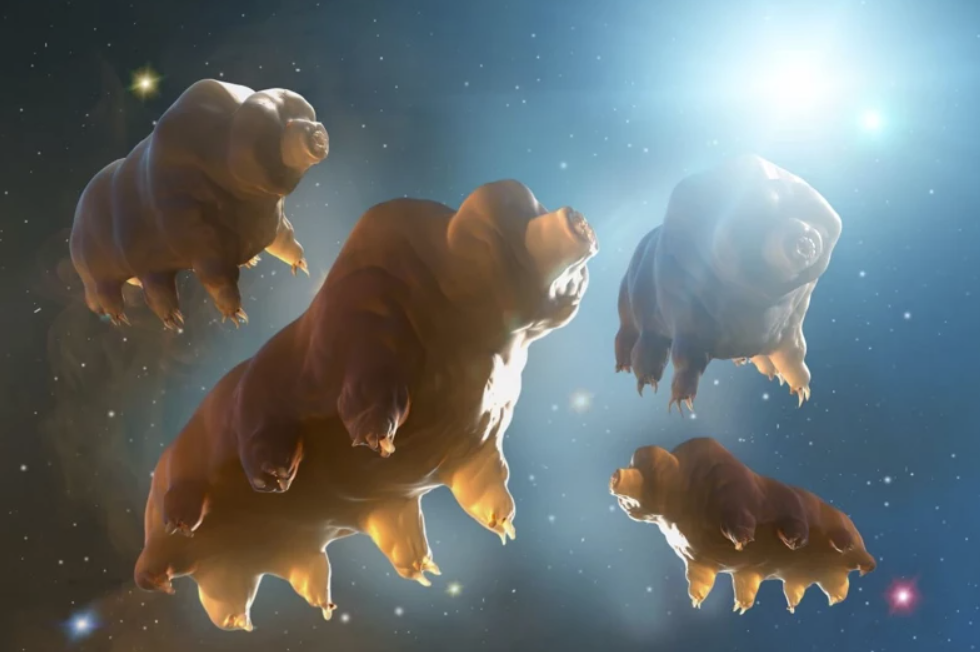 Əsl super qəhrəman: Hətta güllə belə bu canlıya batmır (FOTO)